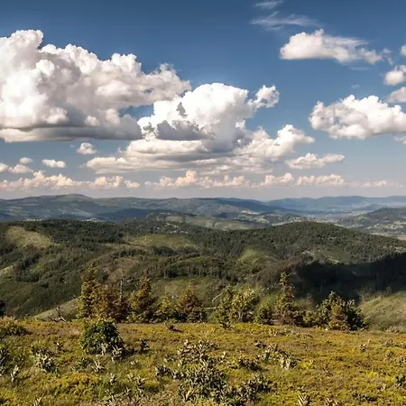 Linda - Velka Raca Chalet *