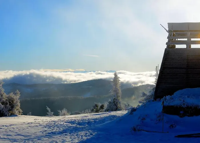 Dağ evi Linda - Velka Raca Oscadnica