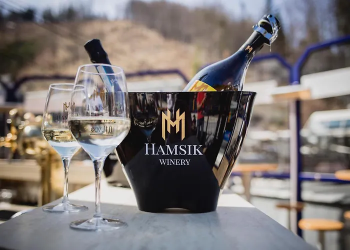 Domek alpejski Linda - Velka Raca